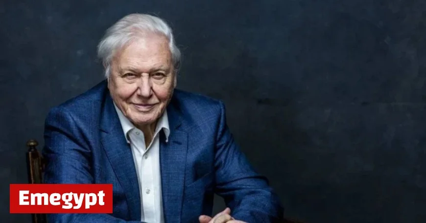 David Attenborough unveils Londons wildlife wonders in new BBC program