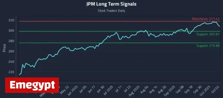 Unlocking JPM Price Dynamics and Expert Execution-Aware Positioning Strategy
