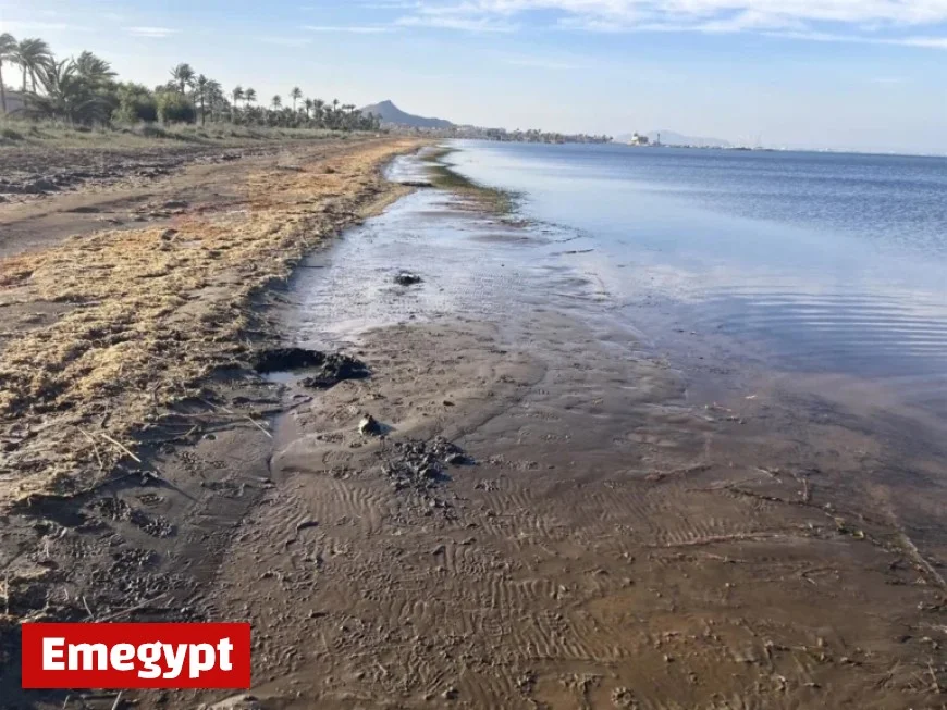 Study Reveals El Mar Menor Exceeds Toxicity Limits for 6 Metals