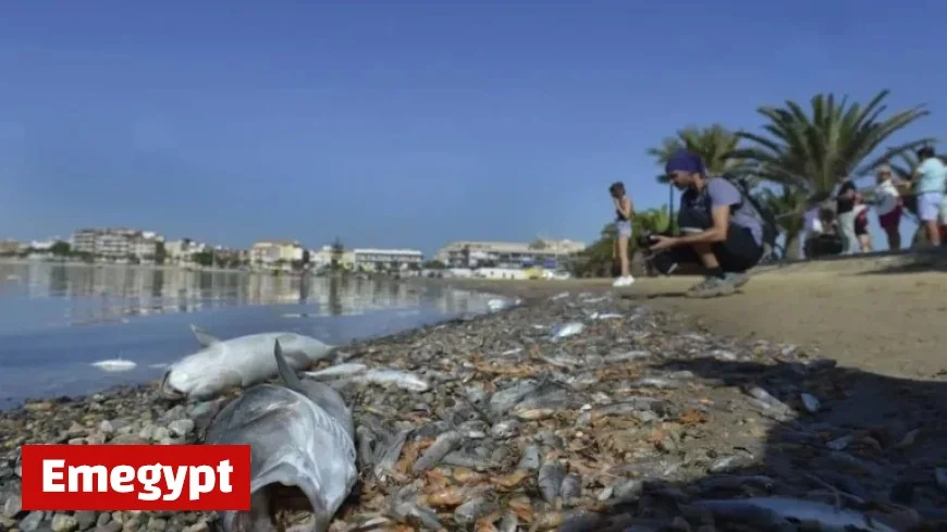 Mar Menor Disaster: Scientists Warn Metal Pollution Exceeds Global Toxicity Limits