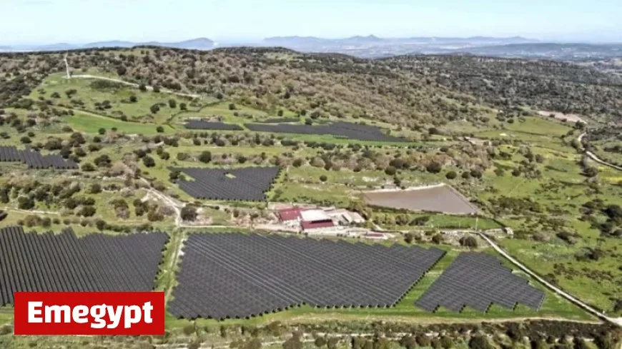 Ministry Approves 90 Hectares of Solar Panels in UNESCO Protected Site