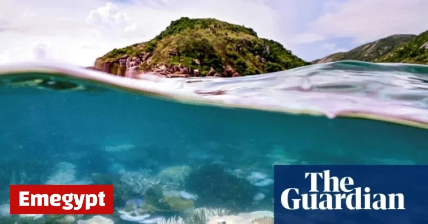 Report Reveals World’s First Climate Tipping Point Threatening Extensive Coral Reef Dieback