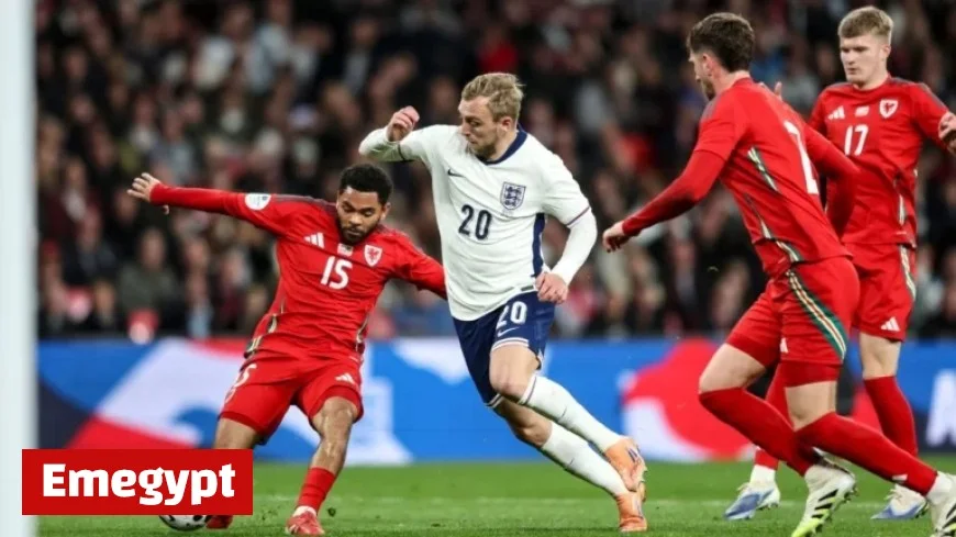 Wales vs Belgium World Cup Qualifier Preview Key Talking Points to Watch