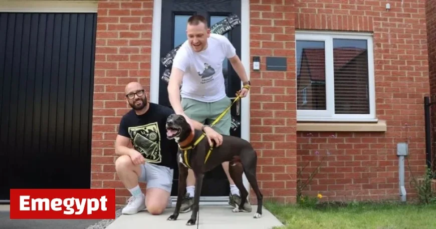 Lonely dog finds forever home after 1116 days in County Durham shelter