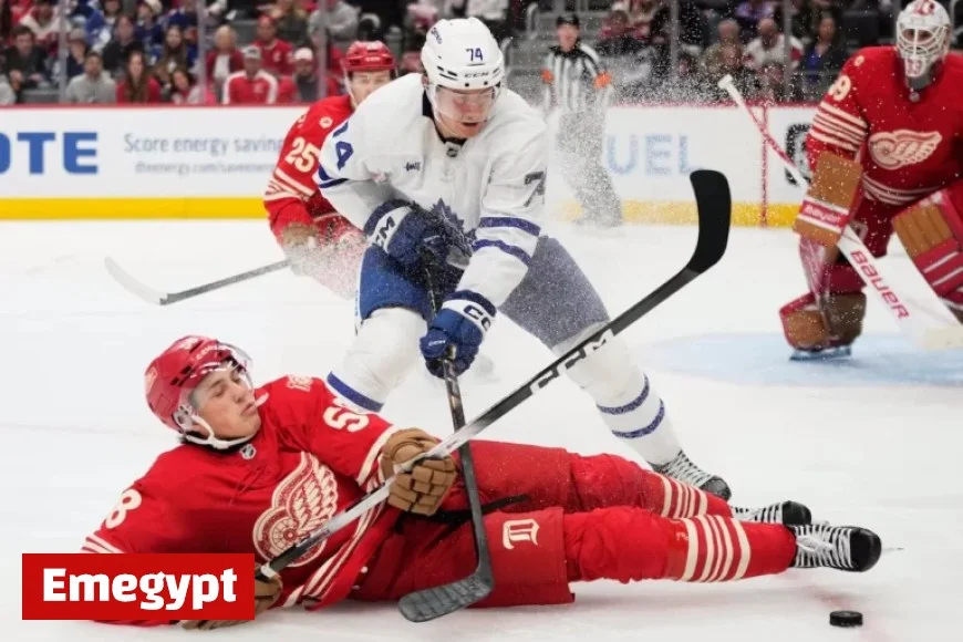 How to Stream the Red Wings vs Maple Leafs NHL Game Live Today