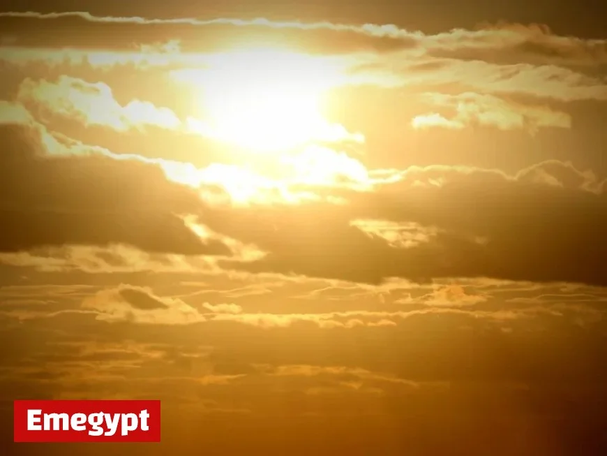 What to Expect from Today’s Weather in Kensington Gardens