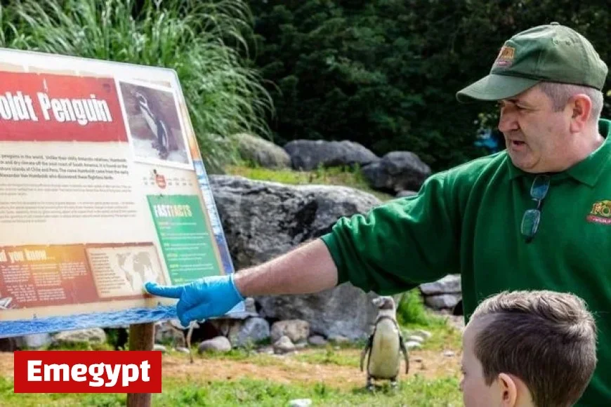 Suspected Bird Flu Outbreak Forces Closure of Fota Wildlife Park