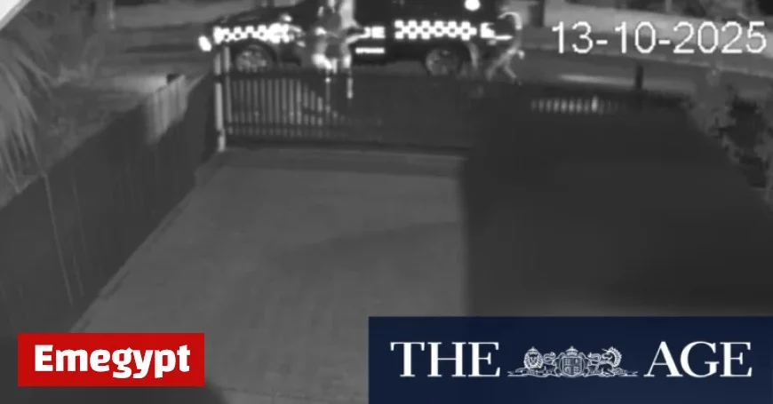 Heroic underwear-clad Grant captures alleged burglar and forces him to call 000