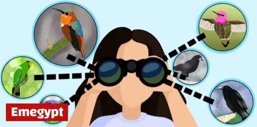 Discover the Inner Birdwatcher in Everyone