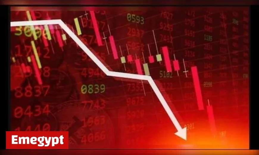 BLS International Shares Plummet 17 Percent Following Two-Year MEA Tender Ban