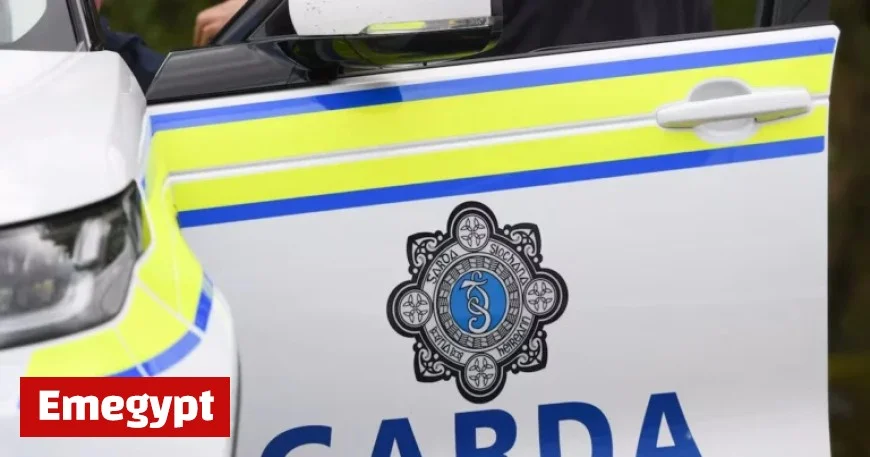 Pro-Palestine Activists Detained Following Occupation of American Weapons Manufacturer Subsidiary in Cork