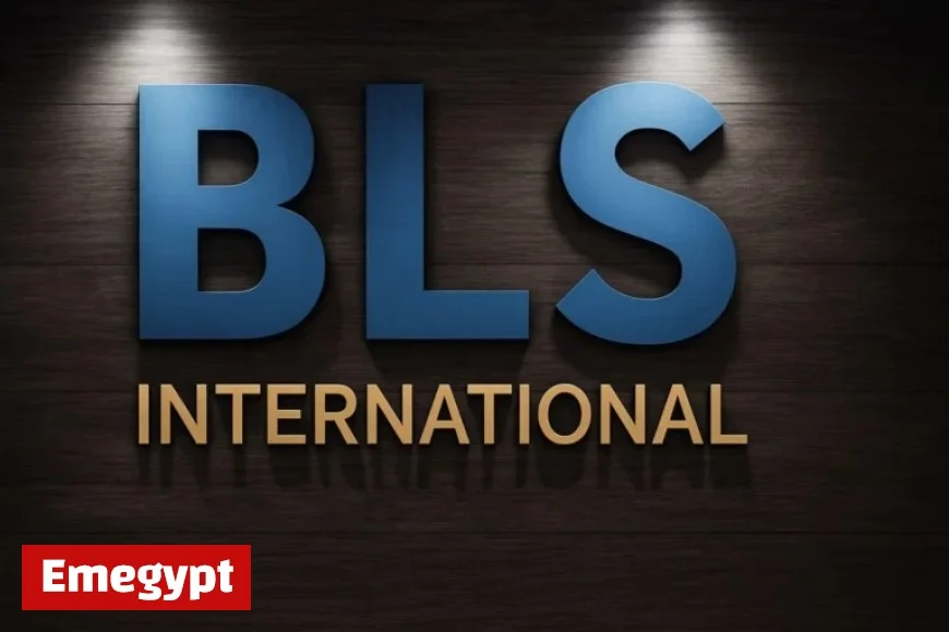BLS International Shares Crash 18 Percent Amid Government Ban with Analysts Predicting Possible 100 Percent Upside