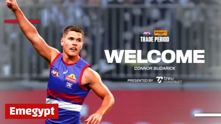 Budarick Joins the Kennel Team Exciting New Arrival at the Club