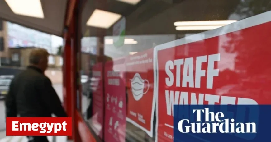 UK Labour Market Stabilizes Following Recent Job Losses: Signs of Recovery Emerge
