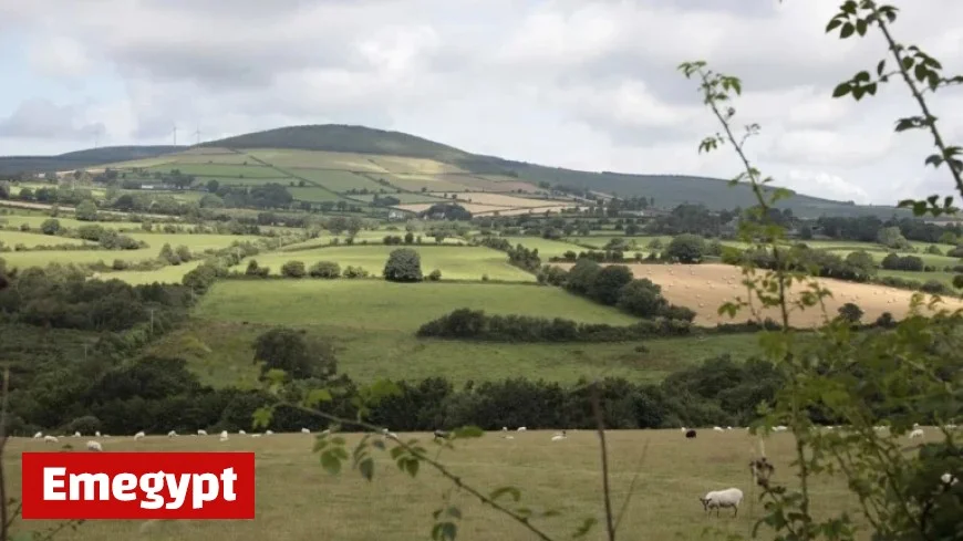 Met Éireann Forecasts a Mostly Dry Week Ahead with Gentle Winds