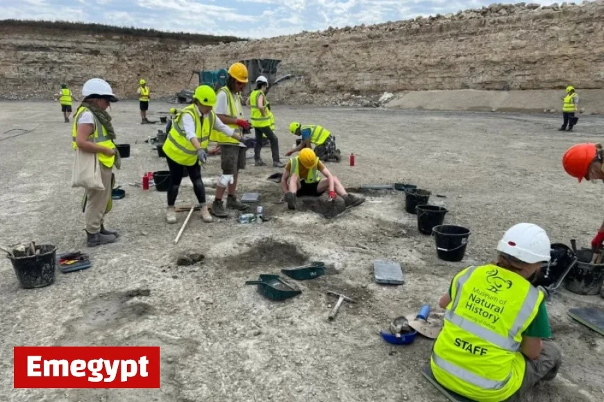 UK Quarry Unearths 166 Million-Year-Old Dinosaur Footprints