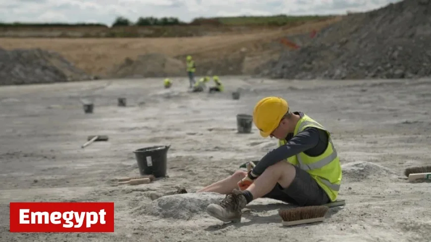 Discover the Unveiling of a Massive Dinosaur Trackway in the UK