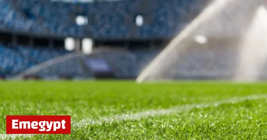 Portugal vs Hungary: Sprinkler System Accidentally Soaks Local Reporters