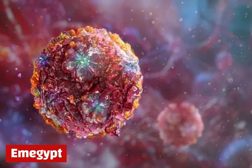 Surge in Chikungunya Virus Cases Linked to Global Travel and Climate Change