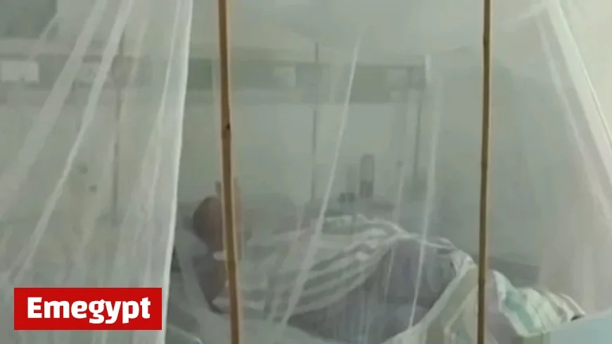 Australians Alerted as China Faces Largest Outbreak with Shocking Scenes