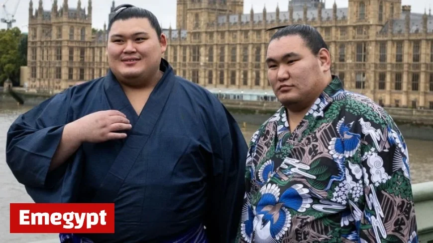 Yokozuna Hoshoryu Tomokatsu and Onosato Daiki to Shine as Sumo Stars Head to London’s Royal Albert Hall