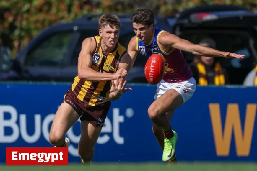 Hawks Defender In High Demand as Swans Secure Key Signing