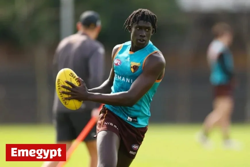 Hawthorn Speedster Set to Join Victorian Rival as AFL Trade Offer Revealed: Latest News