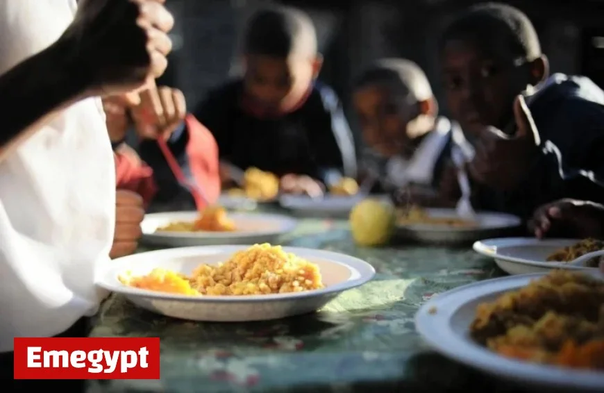 Alleged Corruption by Gauteng School Meal Suppliers Puts Students at Risk of Hunger