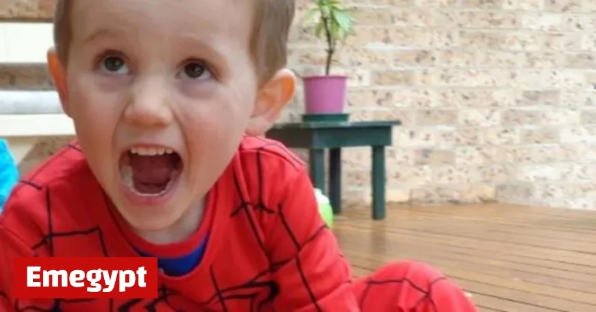 Spider-Man Suit Discovered at Beach Property Near William Tyrrell Disappearance Unrelated to Case Police Confirm