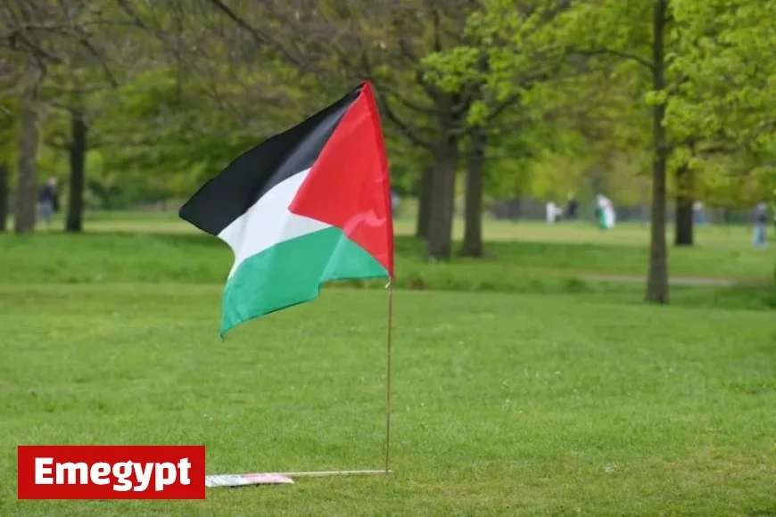 Oxford student arrested for chanting anti-Zionist slogan at protest