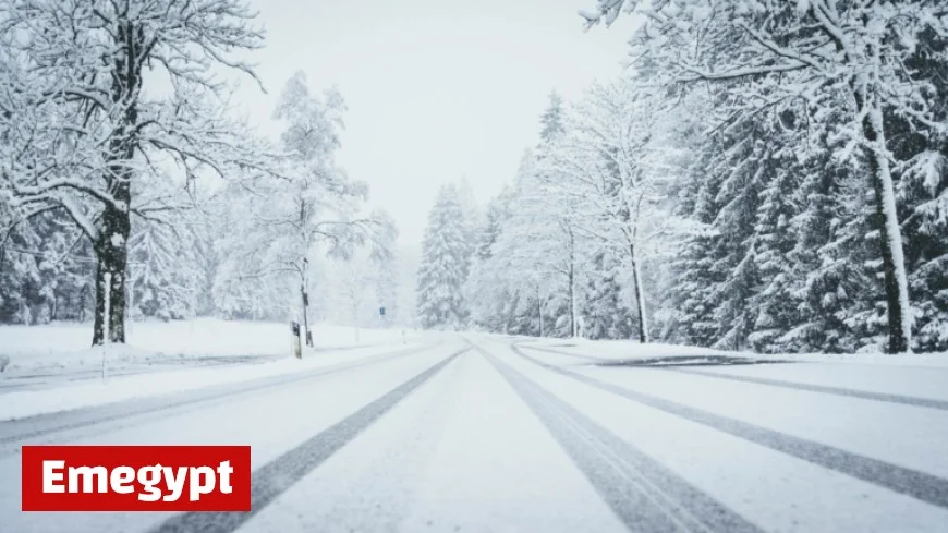 Winter Weather Alert Predicts Up to 6 Inches of Snow Triggering Travel Warning