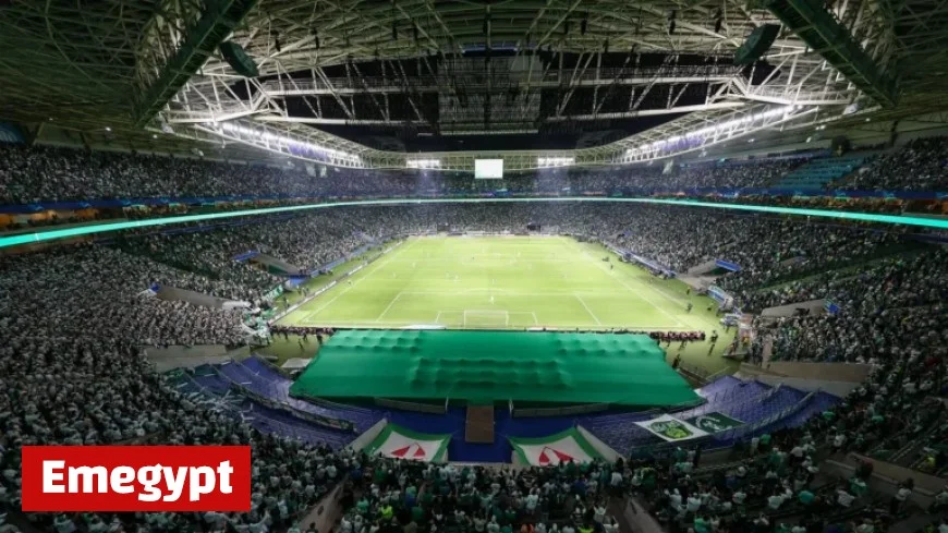 Palmeiras vs Red Bull Bragantino Live Updates Follow the 2025 Campeonato Brasileiro Match in Real Time