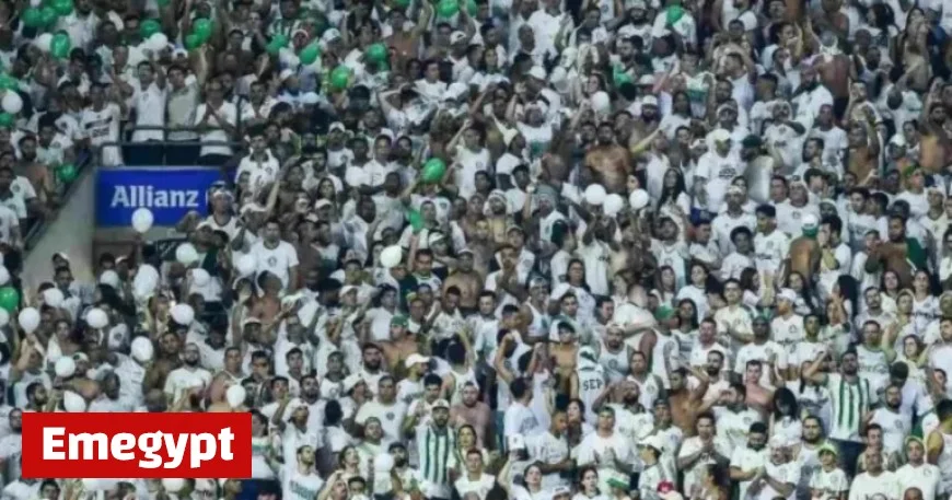 Palmeiras Surge at Allianz Parque Fortress with 21 Goals in Six Matches Boosting Their Winning Streak