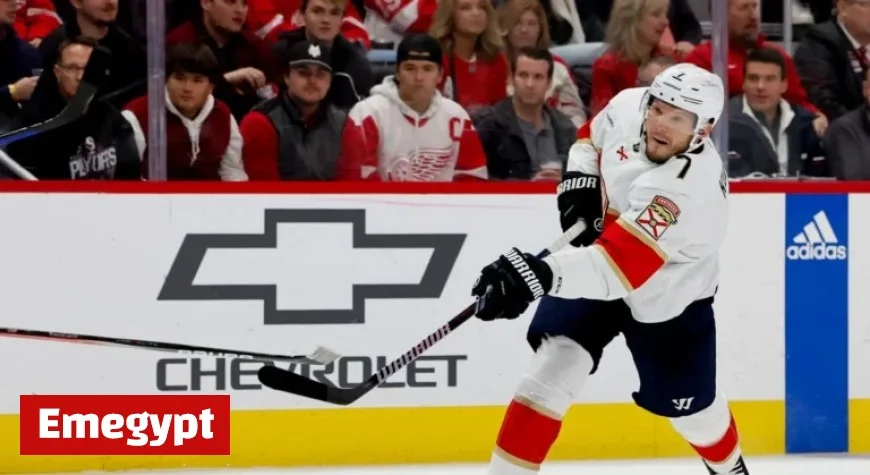 Red Wings Aim for Victory Amid Panthers’ Ongoing Injury Struggles