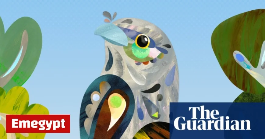 Tawny Frogmouth Crowned 2025 Australian Bird of the Year