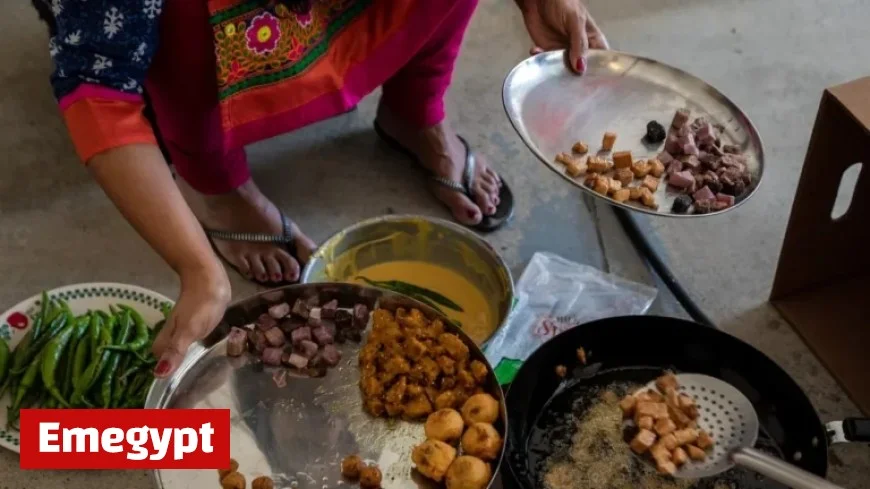 Discover How Michigan Communities Are Preparing to Celebrate Diwali the Festival of Lights