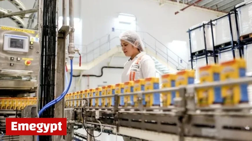 World’s Largest Food Company to Cut 16,000 Jobs Amid Rising Automation