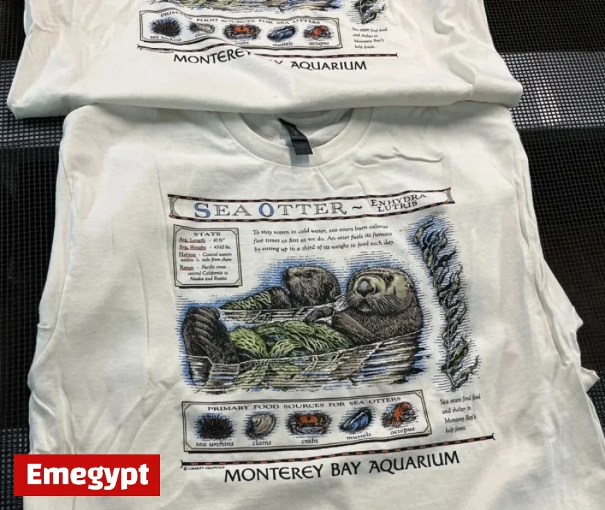 Maine company revives vintage Taylor Swift T-shirt from iconic Showgirl film