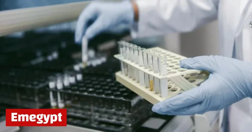 HSE Governance Faces ‘Defining Collapse’ with Up to €7M Loss on Medical Devices, Says Chief