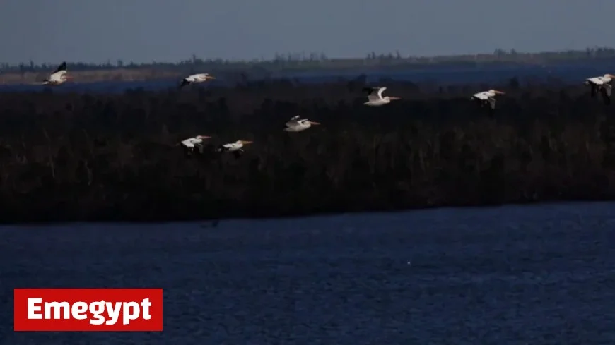 Discover the Last Time Southwest Florida Experienced Freezing Conditions
