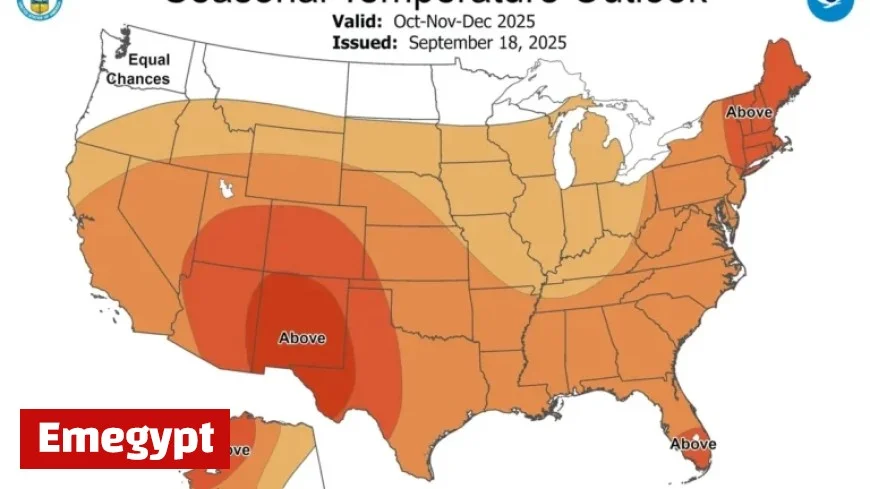 Discover When Cold Weather Returns to Florida with AccuWeather NWS Almanac Winter Forecasts