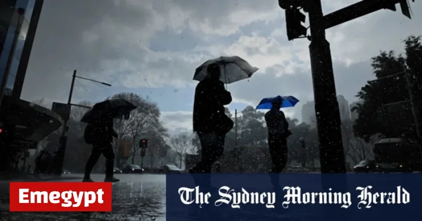 Sydney braces for thunder and hail following a warm Friday morning start