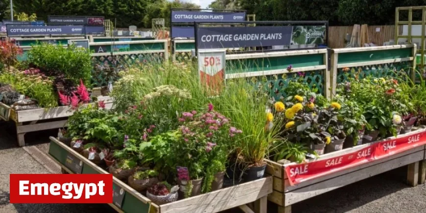 Complete List of Dobbies Garden Centre Closures Across the UK in 2025