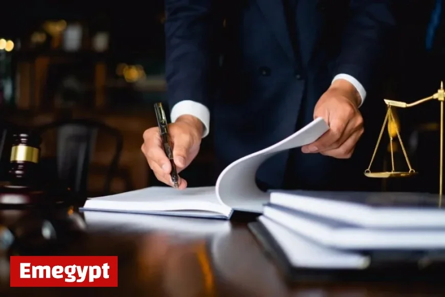 Judge Criticizes Lawyer for AI Use After Citing Fake Cases in Asylum Appeal