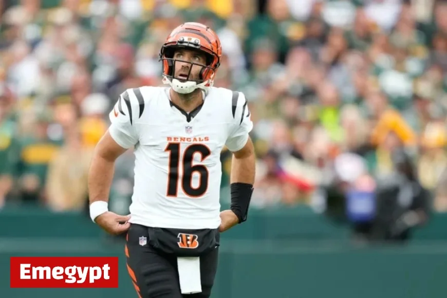 AFC Highlights: Key Updates on Andrew Berry, Joe Flacco, Mike Tomlin, and AFC North Teams Bengals, Browns, and Steelers