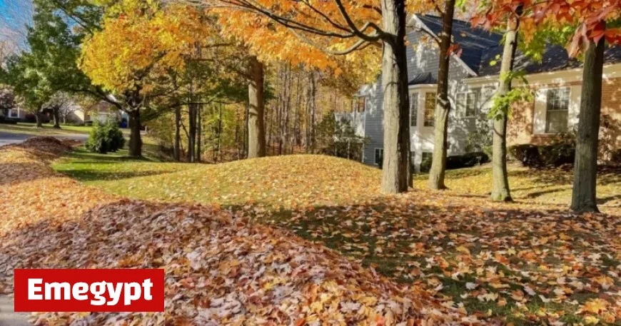 Experience a Perfect Classic Fall Weekend Across the Tri-State Region