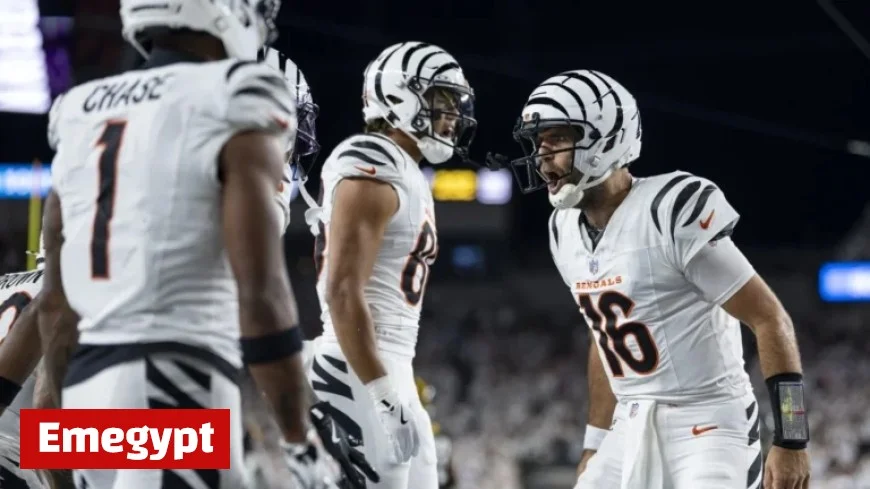 Bengals Stun Steelers 33-31 with Last-Minute Field Goal in Thursday Night Football Thriller
