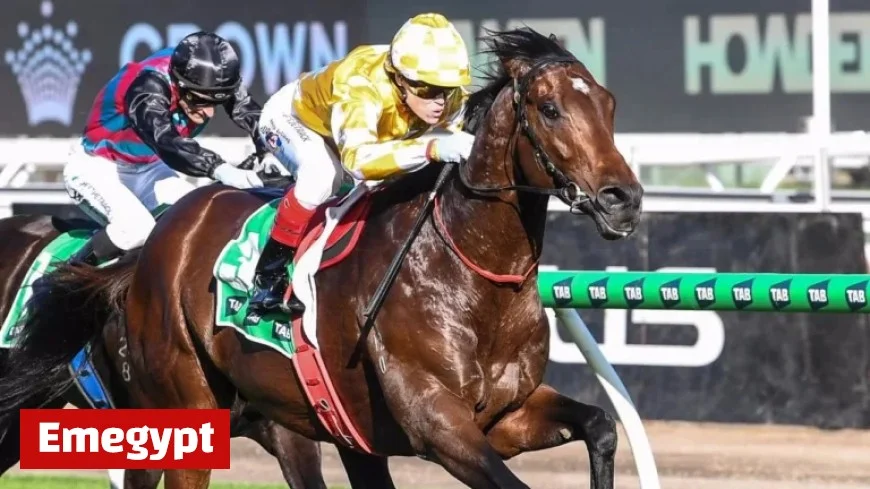 Melbourne Cup Favourite’s Vet Scans Failure Shocks Spring Carnival Fans