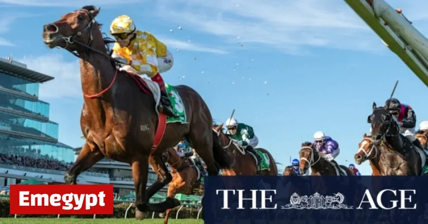 Melbourne Cup Favorite Withdrawn Highlighting Increased Injury Risk