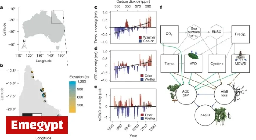 Australian Tropical Forest Biomass Shifts to Net Carbon Source Status
